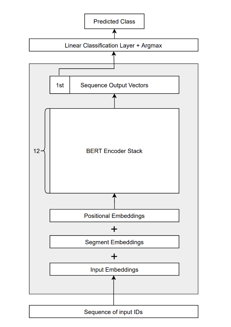 Bidirectional Encoder Representation from Transformers